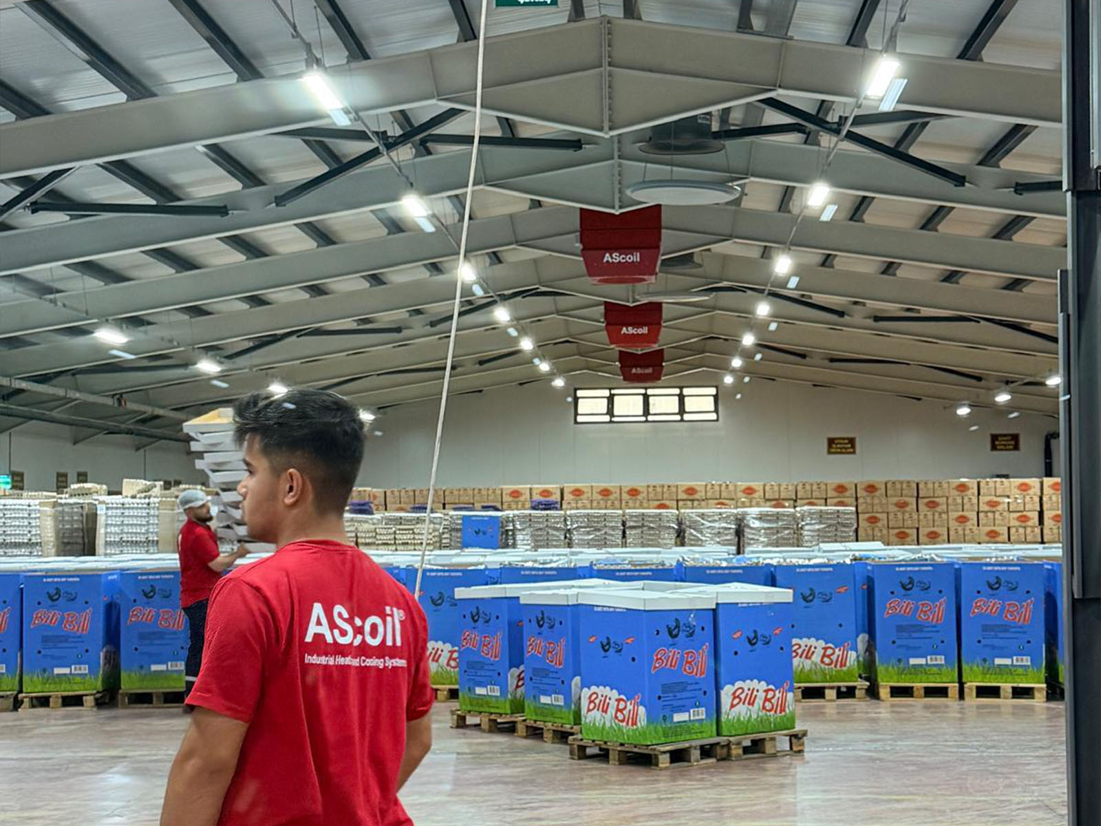 AScoil